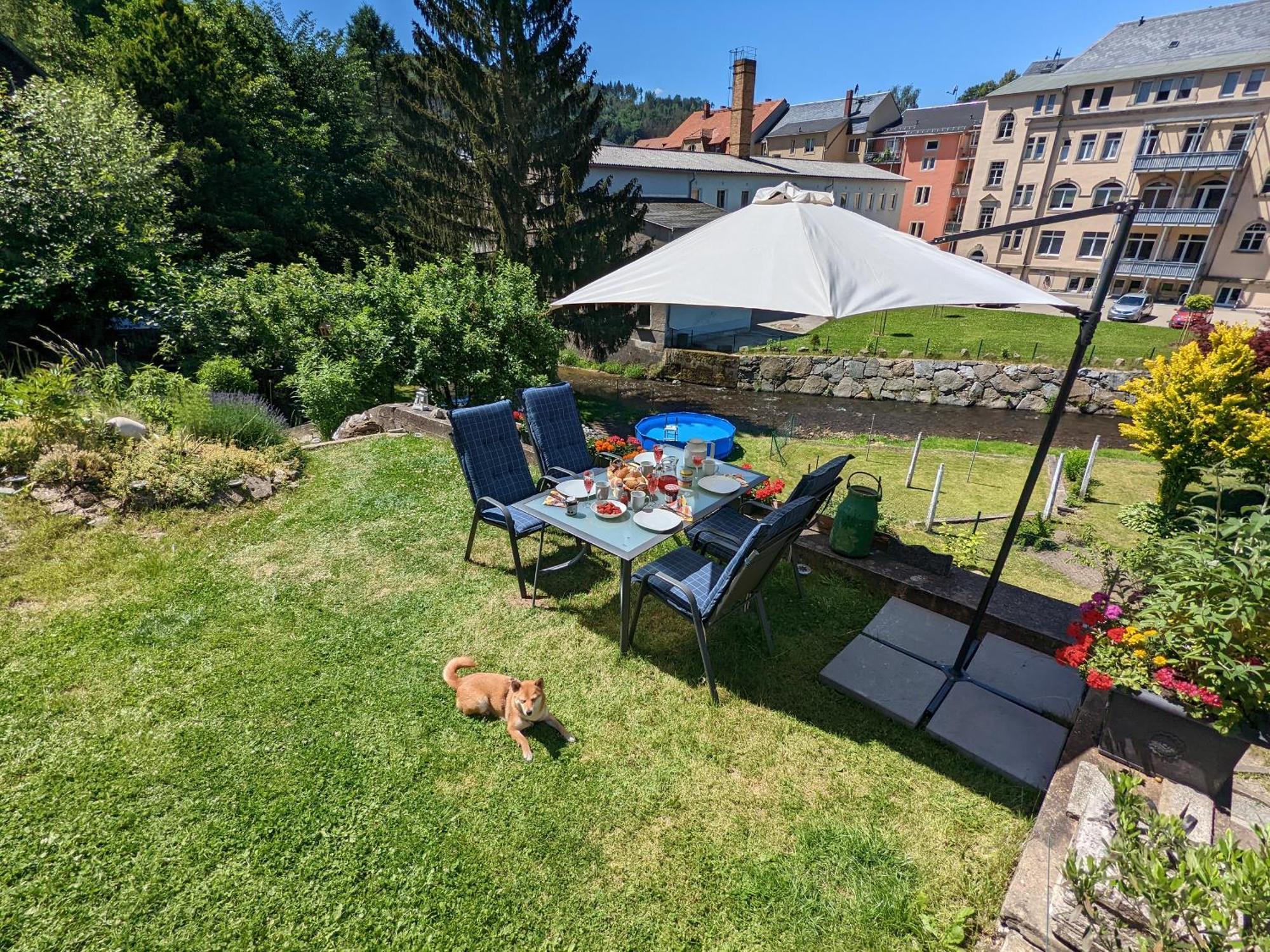 Apartamento Uo2 - Urlaubsmagie - Garten, Whirlpool, Sauna Sebnitz Exterior foto
