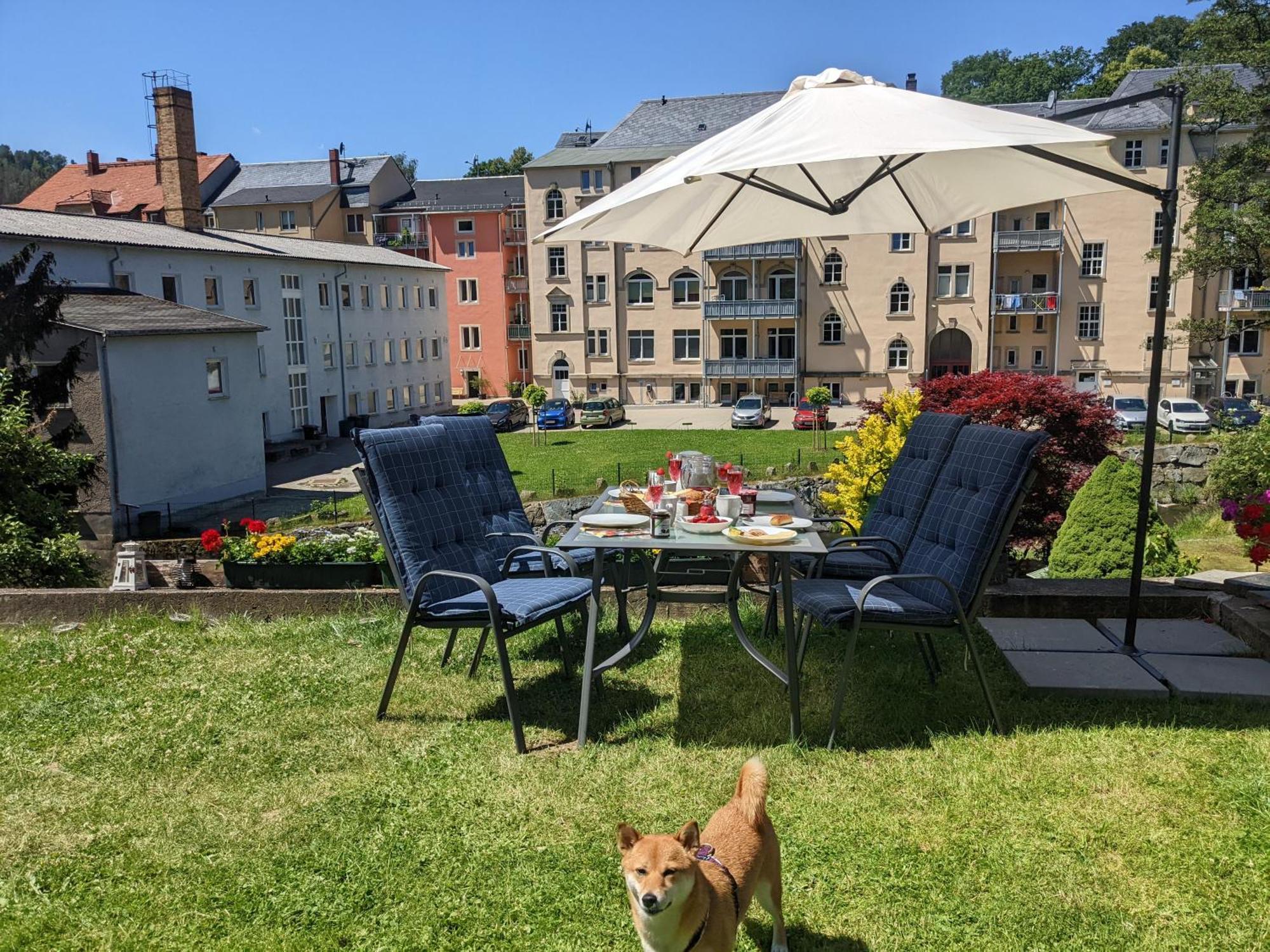 Apartamento Uo2 - Urlaubsmagie - Garten, Whirlpool, Sauna Sebnitz Exterior foto